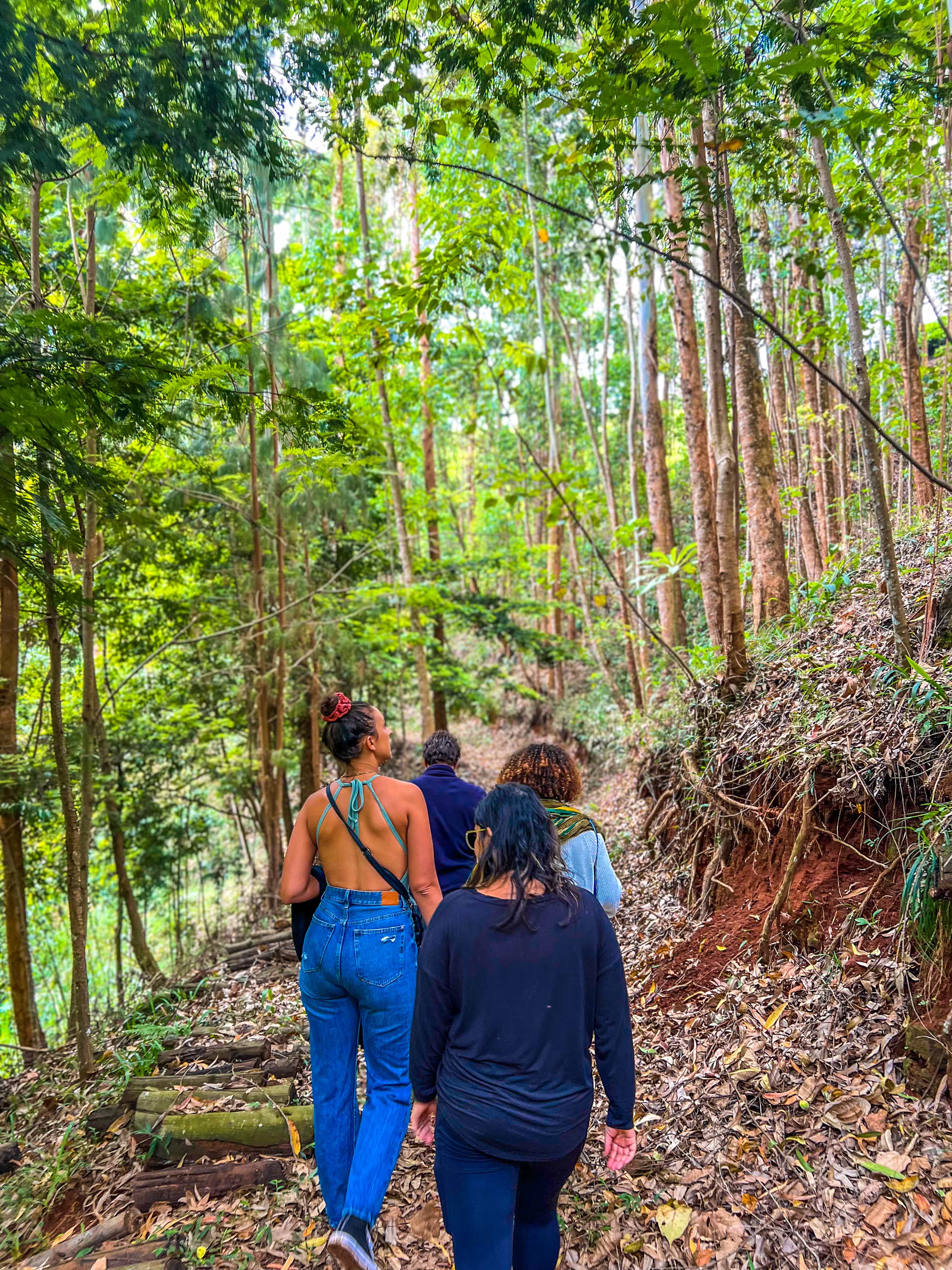 Karura Forest