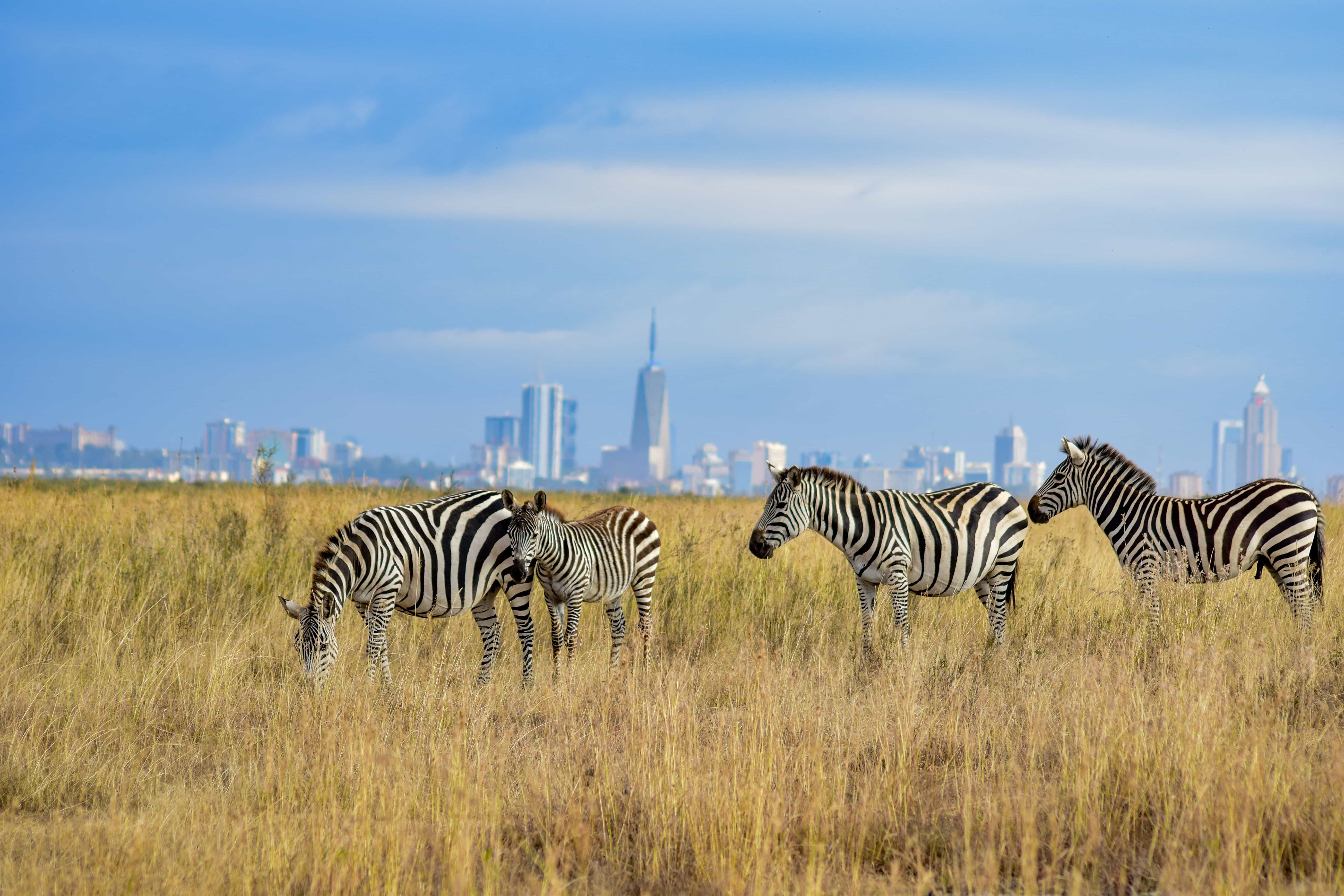 outdoor activities in nairobi
